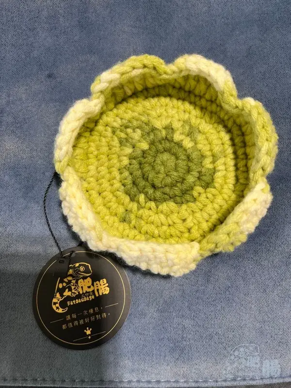 黃綠色花朵躲避屋，奶油色花瓣邊